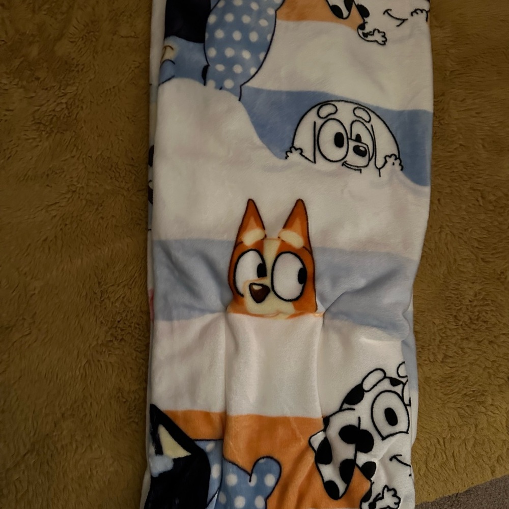 Bluey & Characters Fleece Blanket